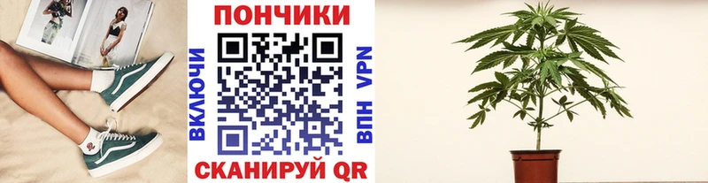 где продают наркотики  кракен онион  МАРИХУАНА сатива  Трёхгорный 